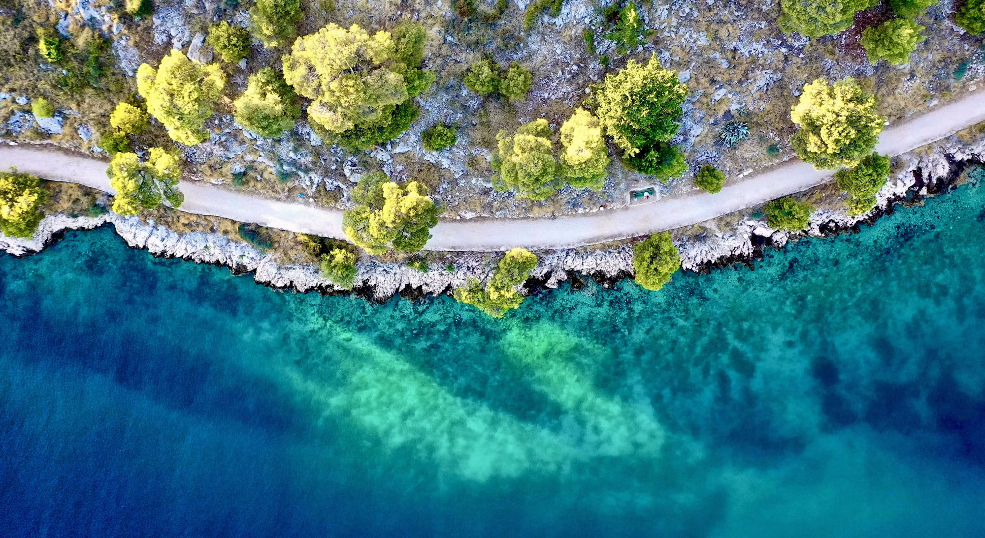 Culinary Journeys: Exploring the World Through Food